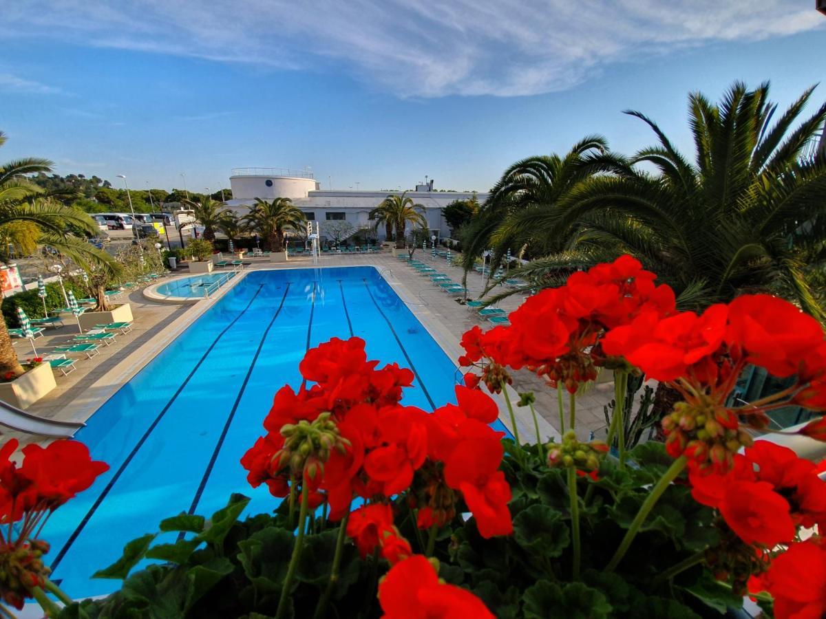 Cormoran 4* Cattolica